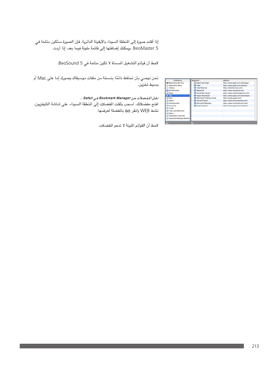 Bang & Olufsen BeoConnect (for Mac) User Manual | Page 213 / 217