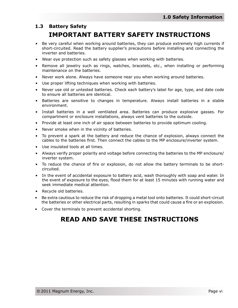 Important battery safety instructions, Read and save these instructions | Magnum Energy Magnum Panel (MP Series) User Manual | Page 7 / 120