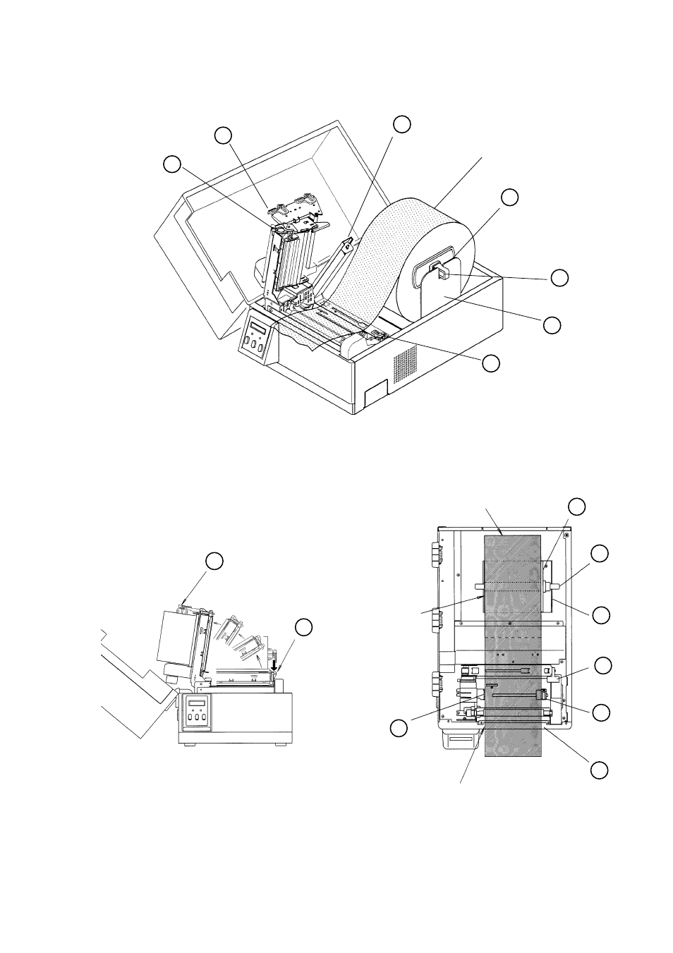 Citizen Systems Citizen CLP 6001 CLP-6001 User Manual | Page 35 / 80