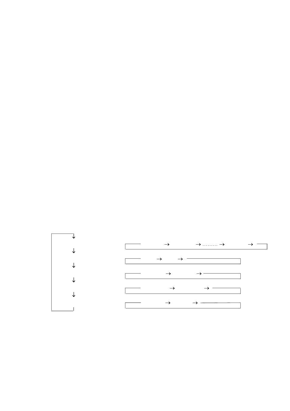 6 system maintenance mode | Citizen Systems CLP-6401 User Manual | Page 27 / 83