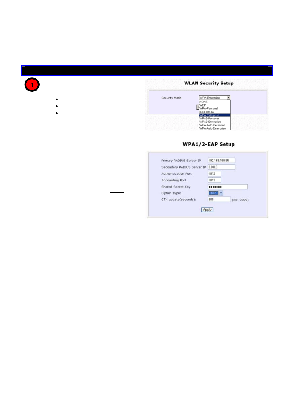 How to setup wpa enterprise modes, Wpa enterprise | Compex Technologies NetPassage 18A User Manual | Page 45 / 204