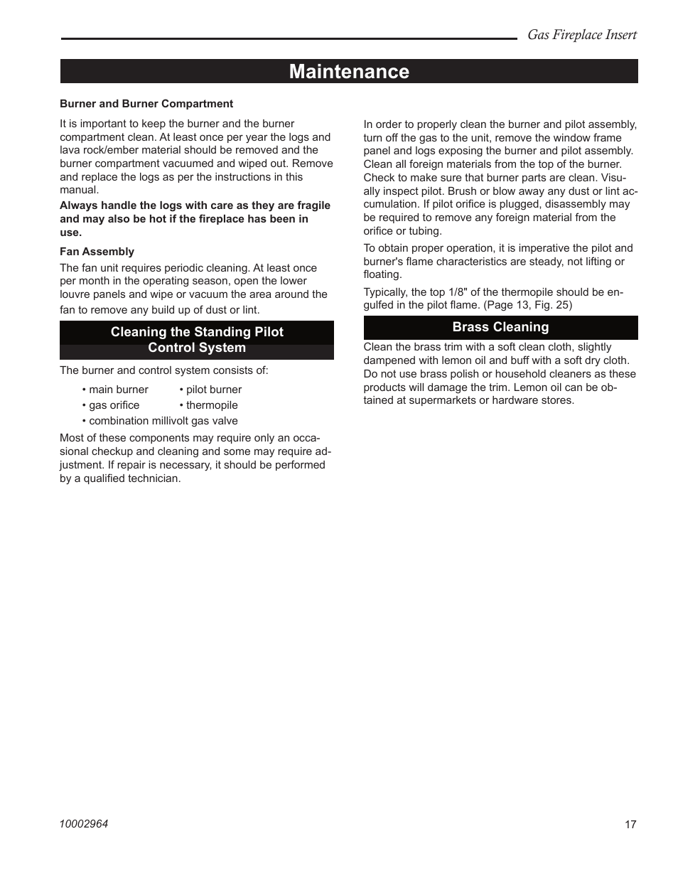 Maintenance, Gas fireplace insert | CFM Corporation A125 User Manual | Page 17 / 32