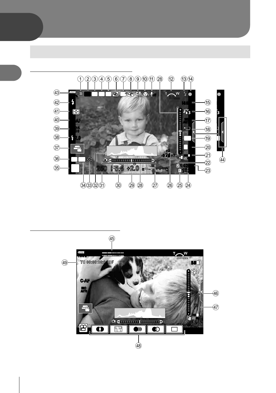 Shooting, Information displays while shooting, 20 en | Ik j m l | Olympus OM-D E-M1 Mark II User Manual | Page 20 / 196