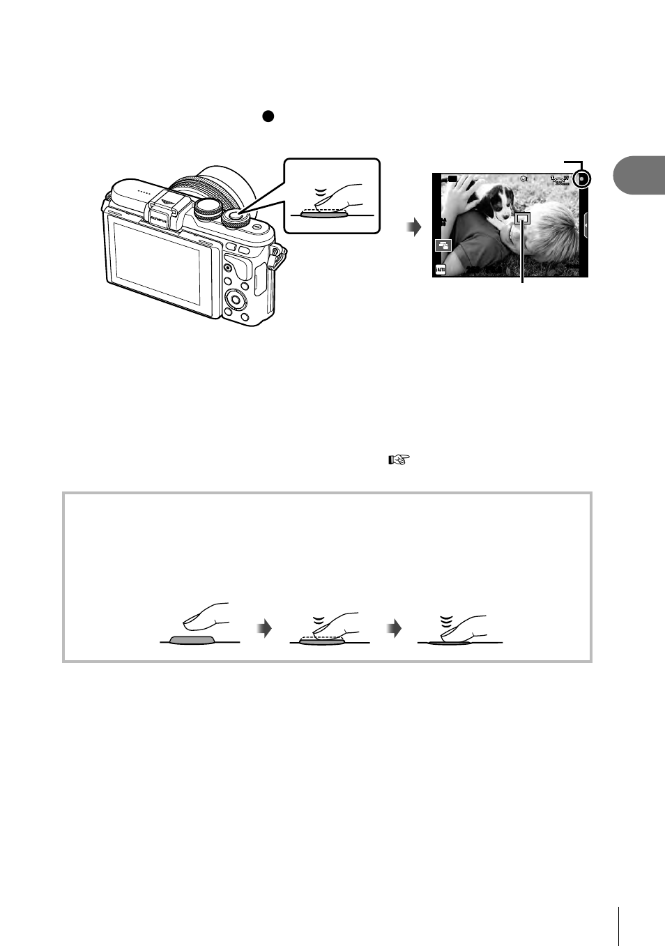 Shooting, Adjust the focus, Release the shutter | 21 en | Olympus PEN E-PL8 User Manual | Page 21 / 162