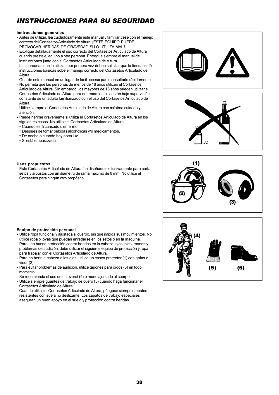 Instrucciones para su seguridad | Dolmar POLE HEDGE MH-2556 User Manual | Page 38 / 54
