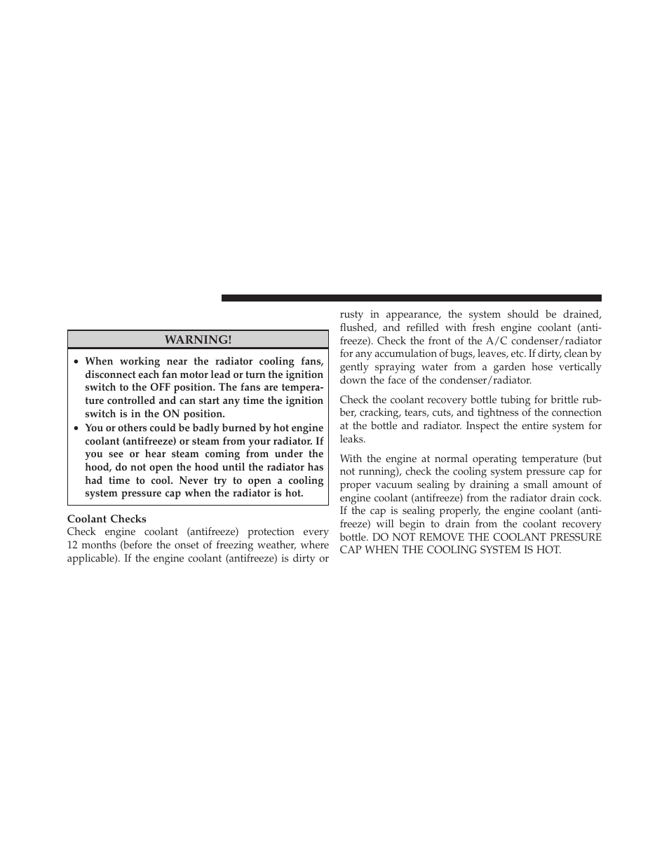 Cooling system | Dodge 2010 Viper SRT10 Coupe User Manual | Page 230 / 316