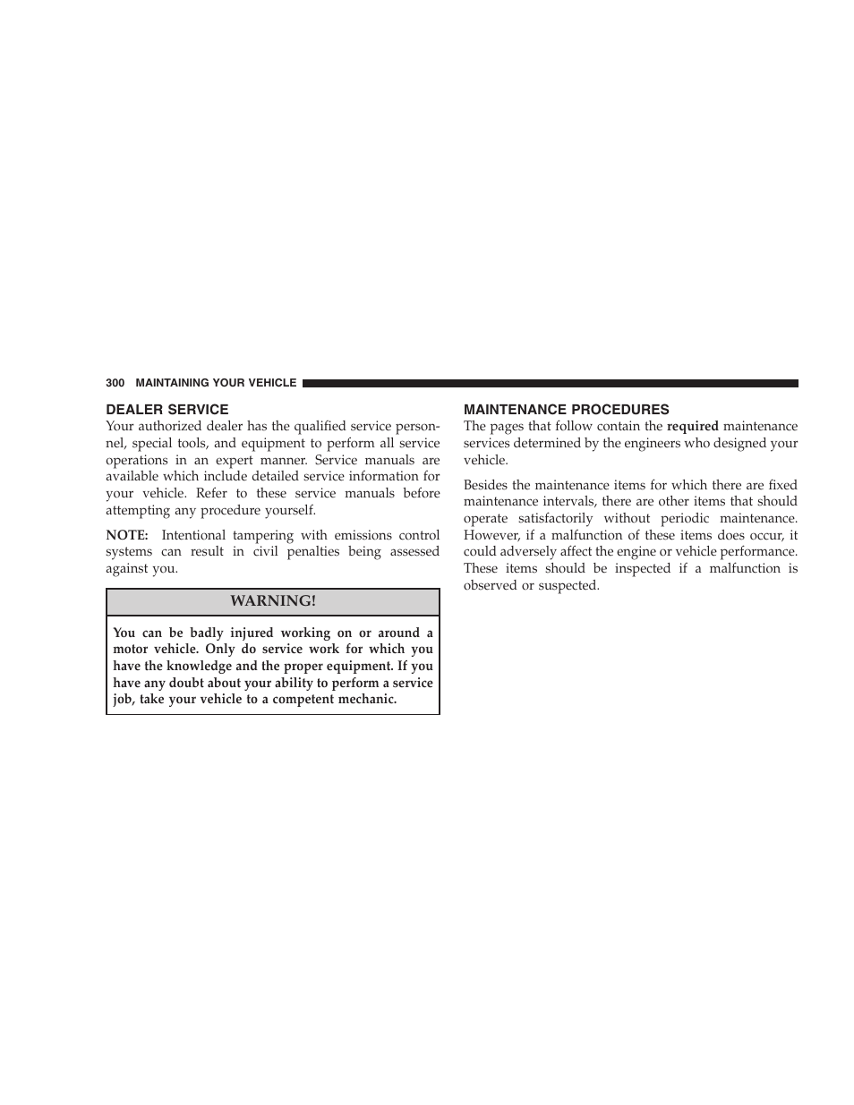 Dealer service, Maintenance procedures | Dodge 2008 Challenger SRT8 User Manual | Page 302 / 385