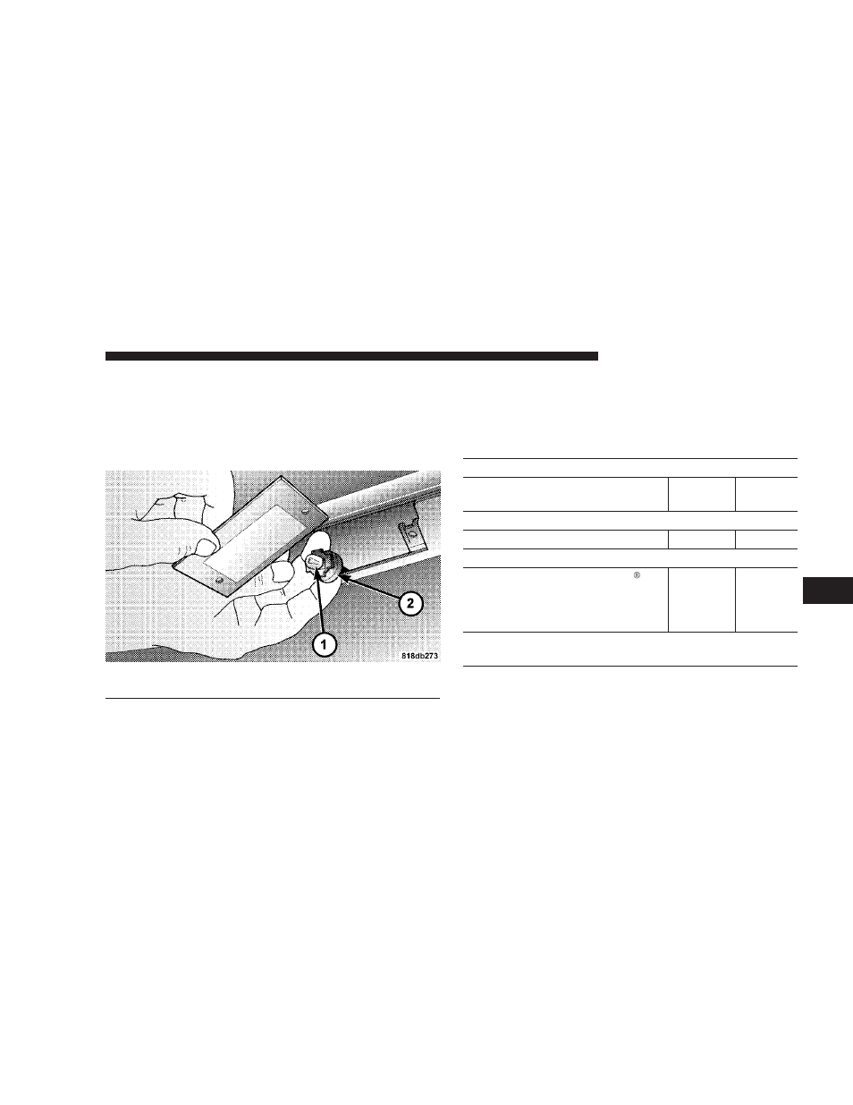 License light, Fluids and capacities, Fluids, lubricants, and genuine parts | Dodge 2007 Magnum SRT8 User Manual | Page 332 / 380