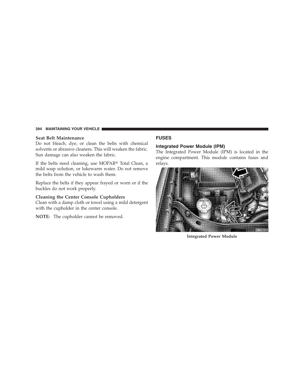 Fuses, Integrated power module (ipm) | Dodge CHALLENGER 2009 User Manual | Page 396 / 461