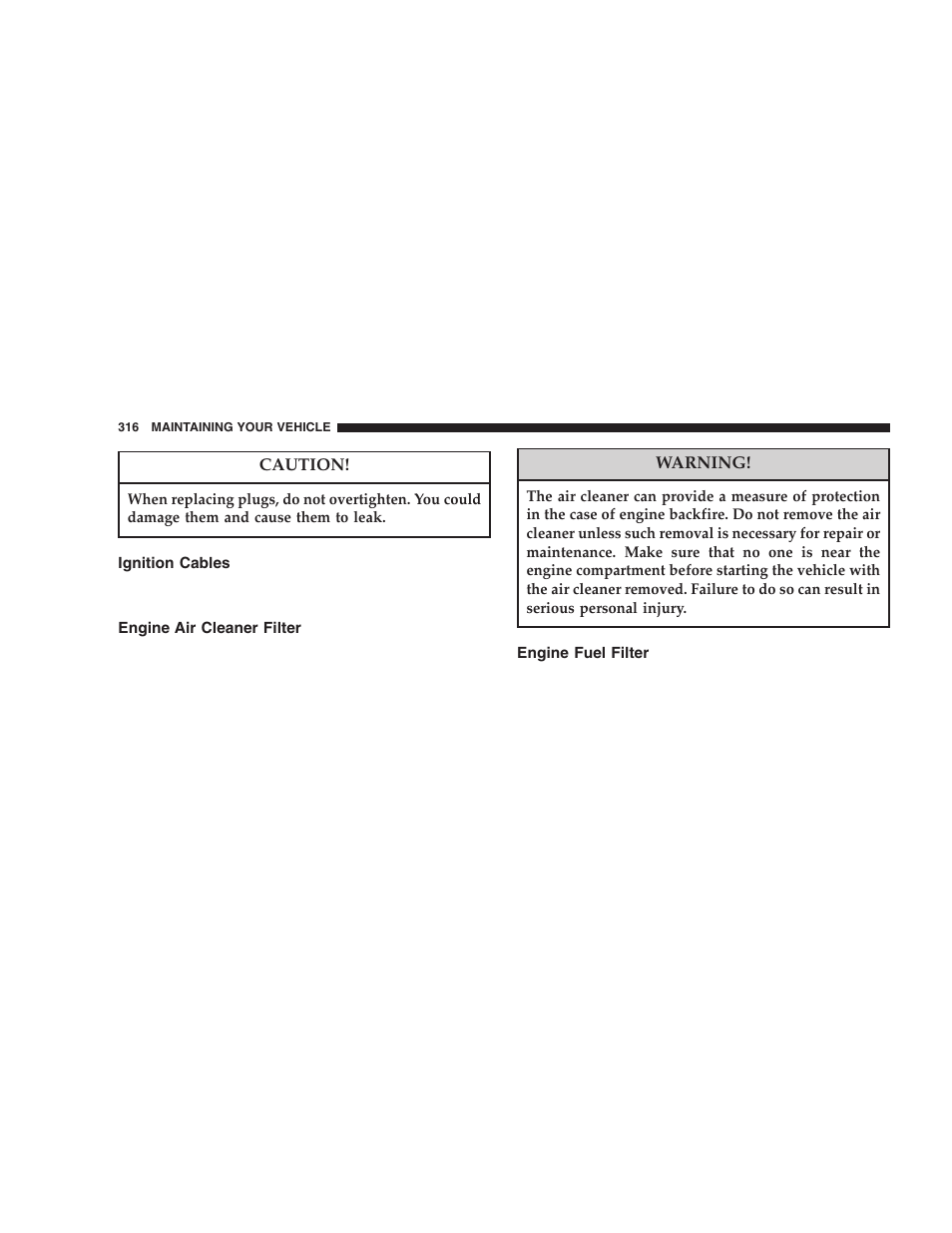 Ignition cables, Engine air cleaner filter, Engine fuel filter | Dodge 2005 Durango User Manual | Page 316 / 416