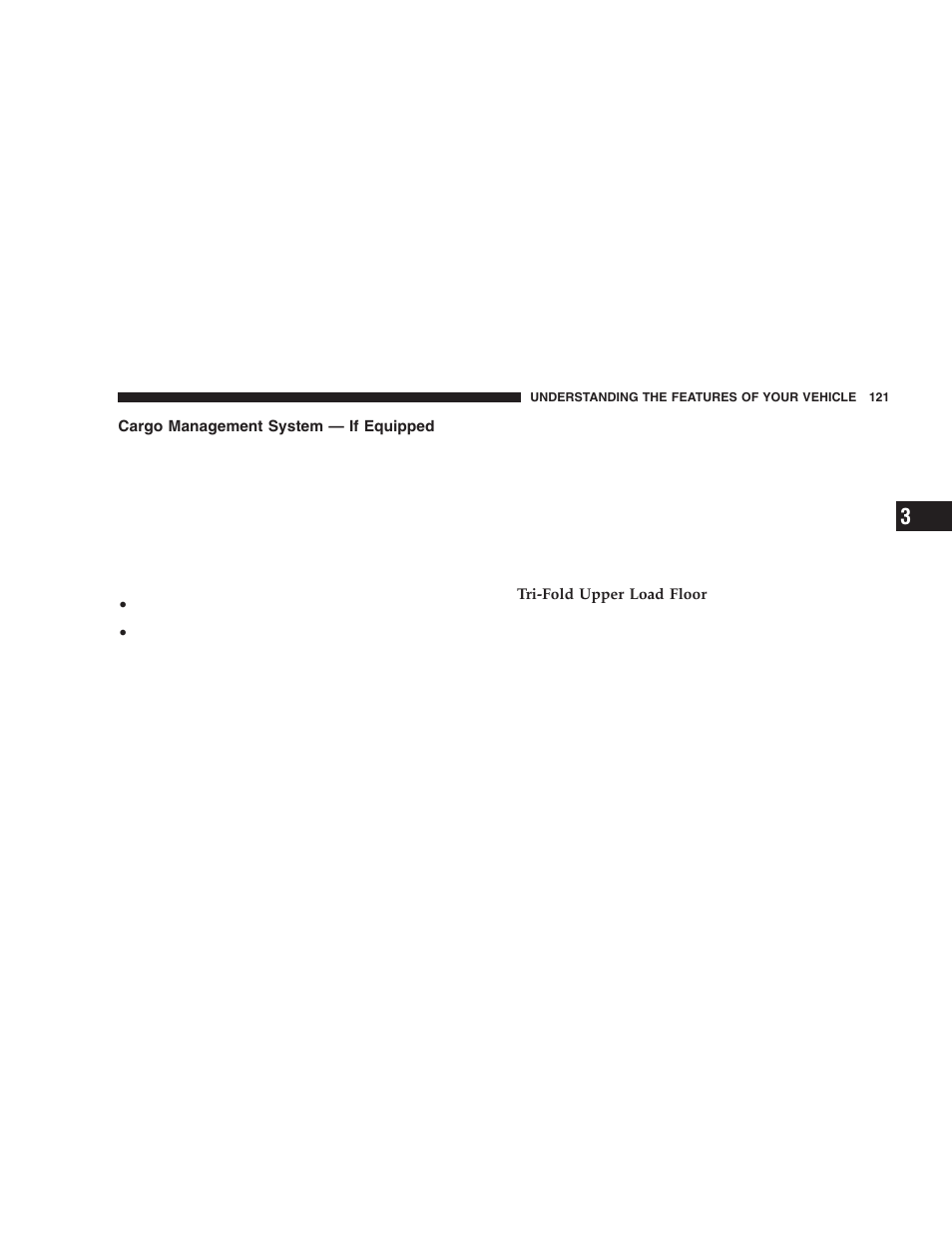 Cargo management system — if equipped | Dodge 2006 LX Magnum SRT8 User Manual | Page 121 / 344