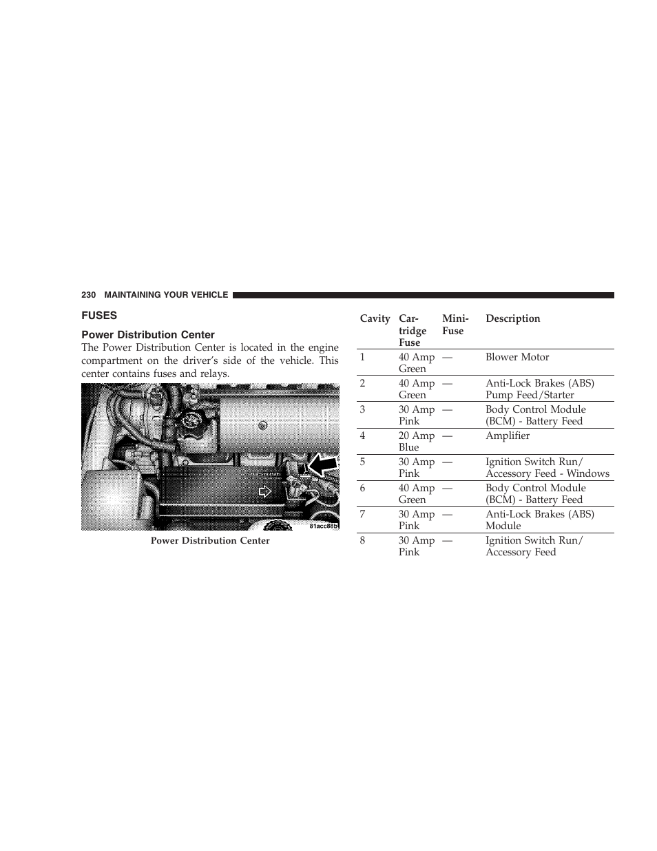 Fuses, Power distribution center | Dodge 2009 Viper User Manual | Page 232 / 299