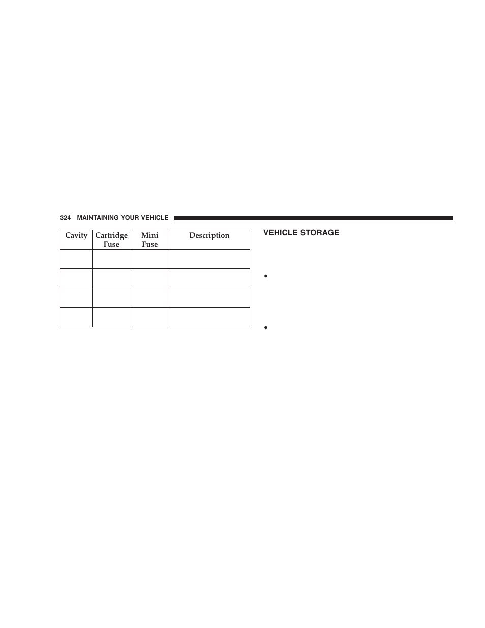 Vehicle storage | Dodge 2006 DR Ram SRT-10 User Manual | Page 324 / 384
