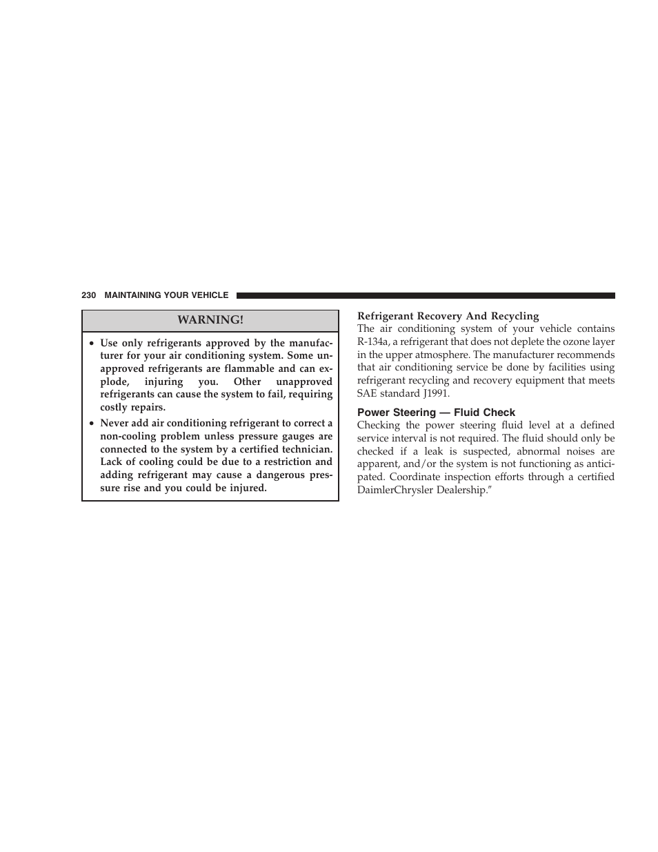 Power steering — fluid check | Dodge 2004 Ram SRT-10 User Manual | Page 230 / 302