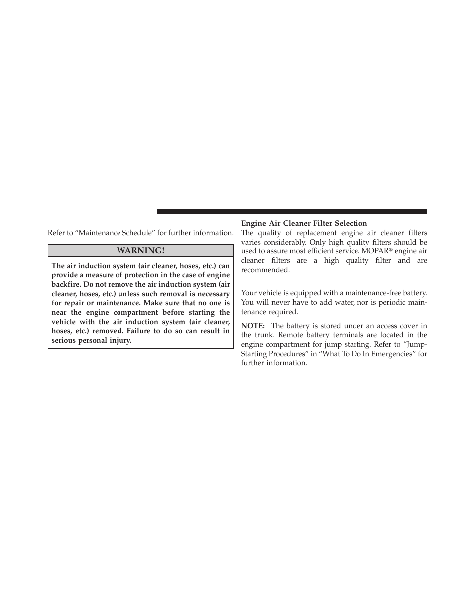 Engine air cleaner filter, Maintenance-free battery | Dodge 2010 Charger User Manual | Page 385 / 484