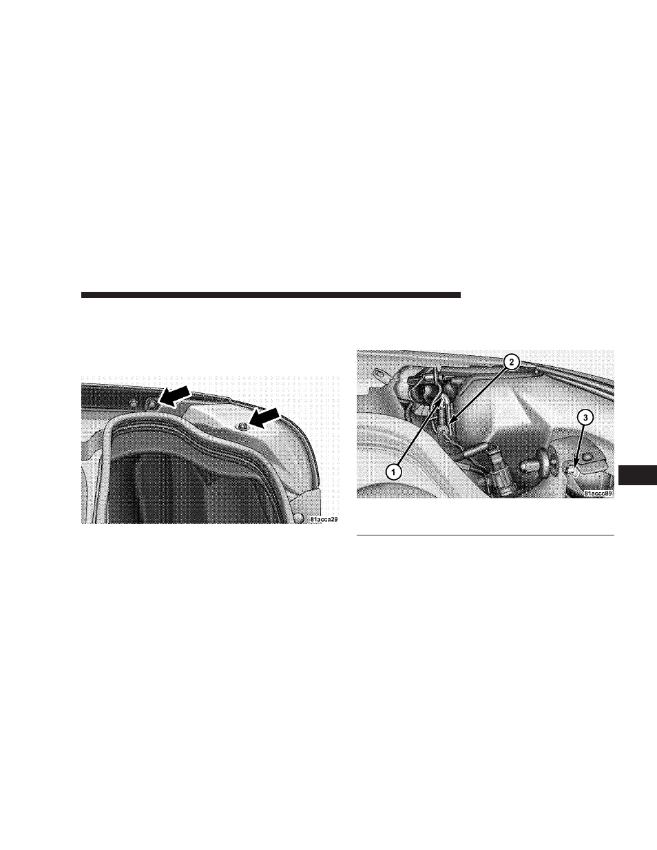 Taillight, tail/stop light, rear marker light | Dodge 2008 Viper User Manual | Page 246 / 303