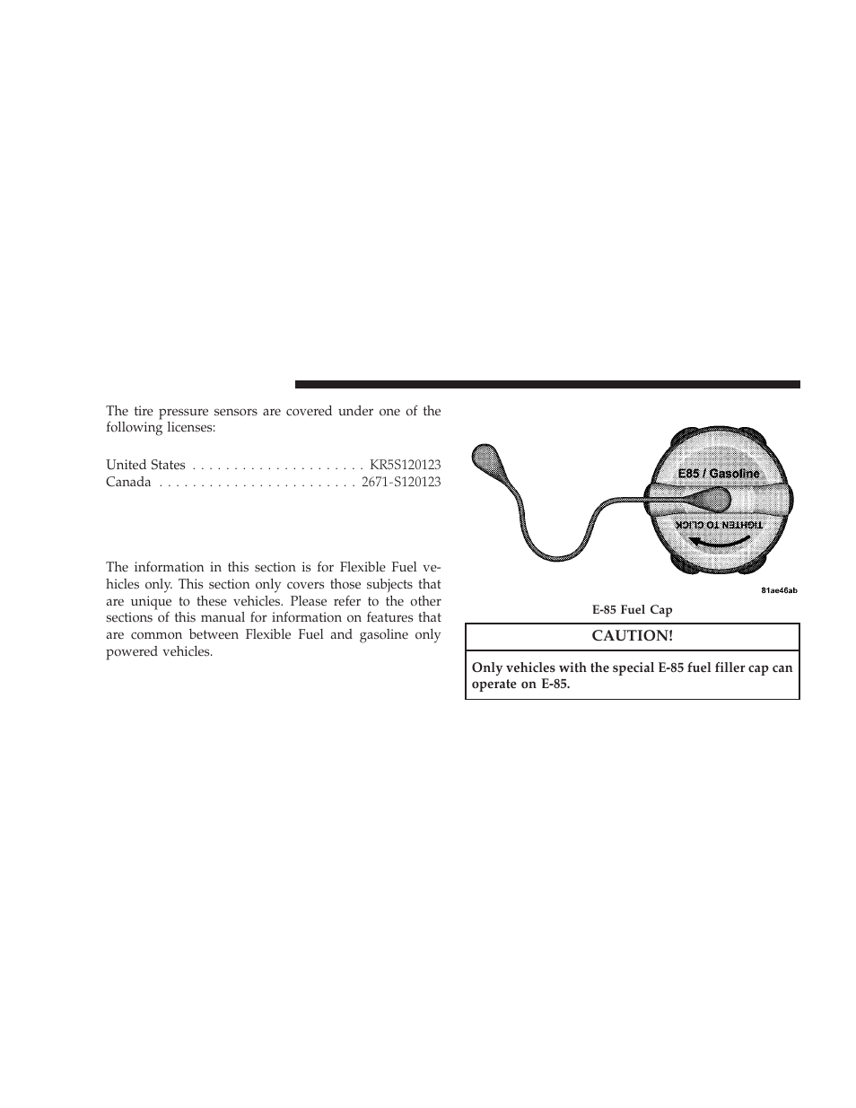 E-85 general information | Dodge 2009 Journey User Manual | Page 366 / 523