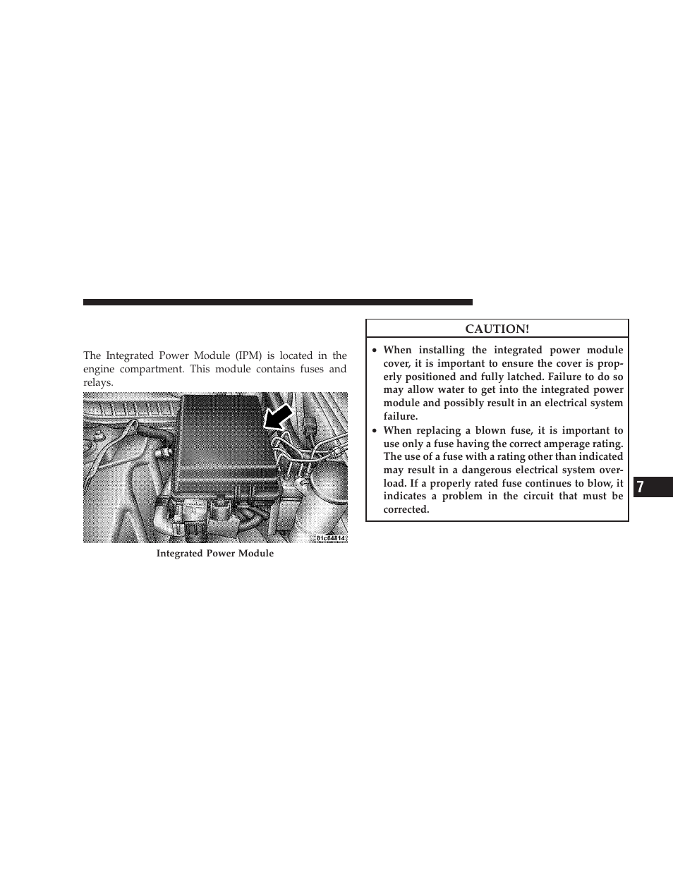 Integrated power module, Fuses | Dodge 2009 Charger User Manual | Page 413 / 484