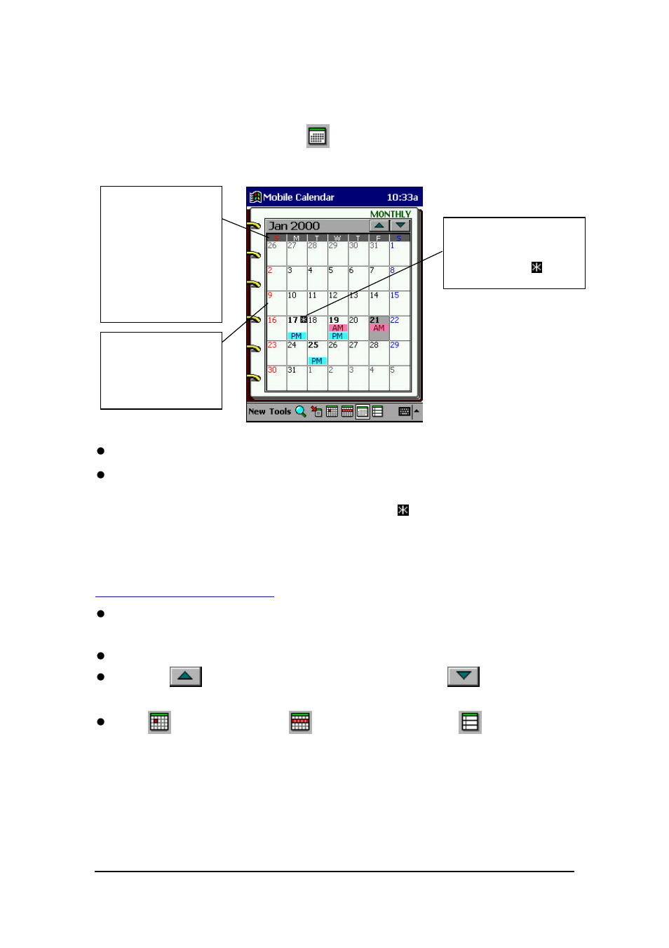 Monthly view | Casio E-125 Mobile Calendar V.2.0 User Manual | Page 21 / 31