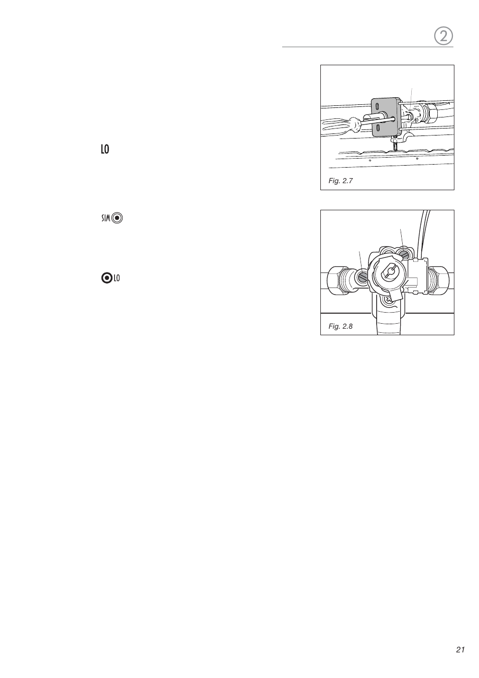 DeLonghi DEFSGG 36 User Manual | Page 21 / 28