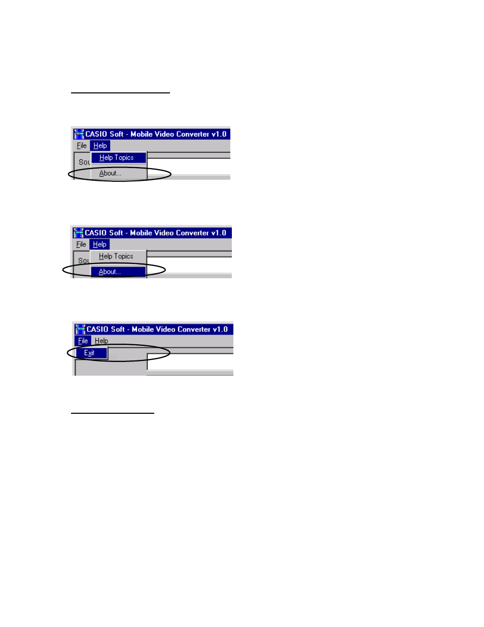 Casio E-125 CSI Mobile Video Converter User Manual | Page 5 / 5