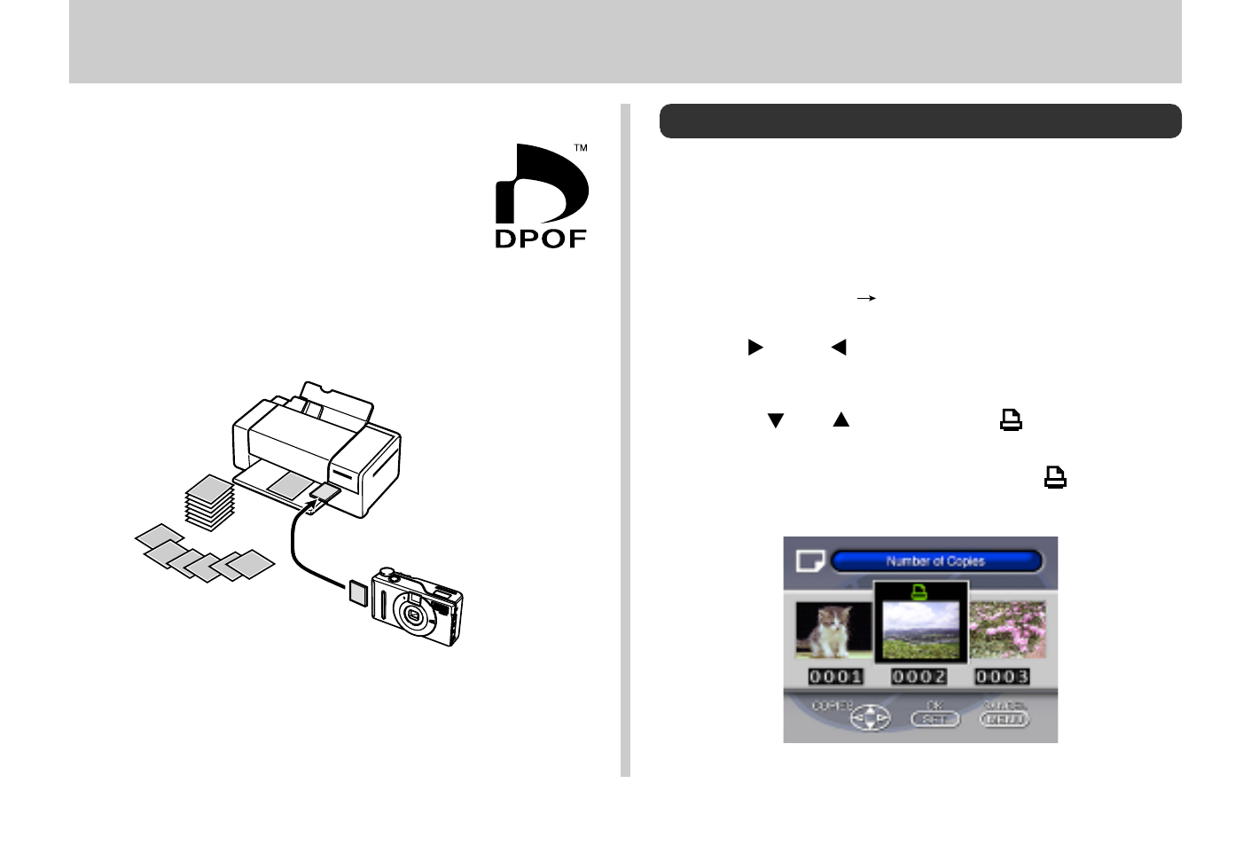 Dpof, E-100 | Casio QV-3EX User Manual | Page 99 / 122