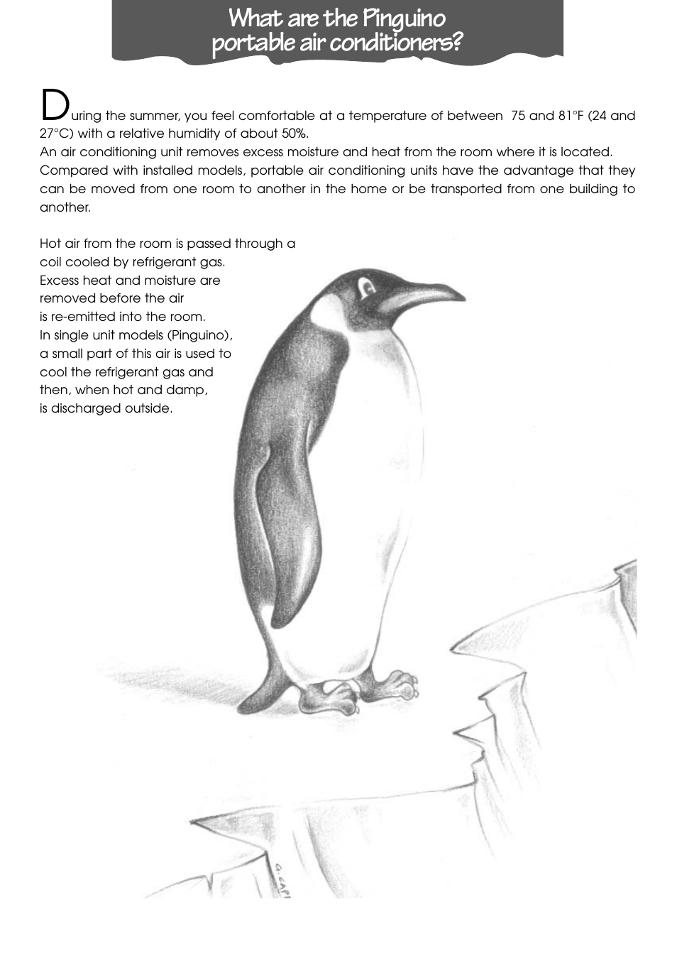 What are the pinguino portable air conditioners | DeLonghi PACL90 User Manual | Page 4 / 18