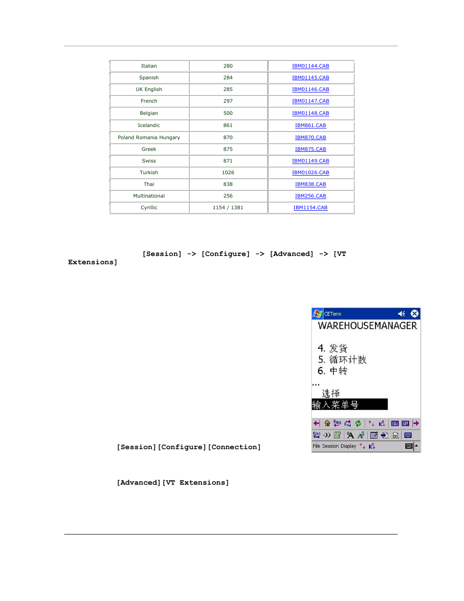 Asia pacific language character sets, Code pages for vt emulations | Casio Naurtech CETerm Ver.5.5 User Manual User Manual | Page 131 / 160