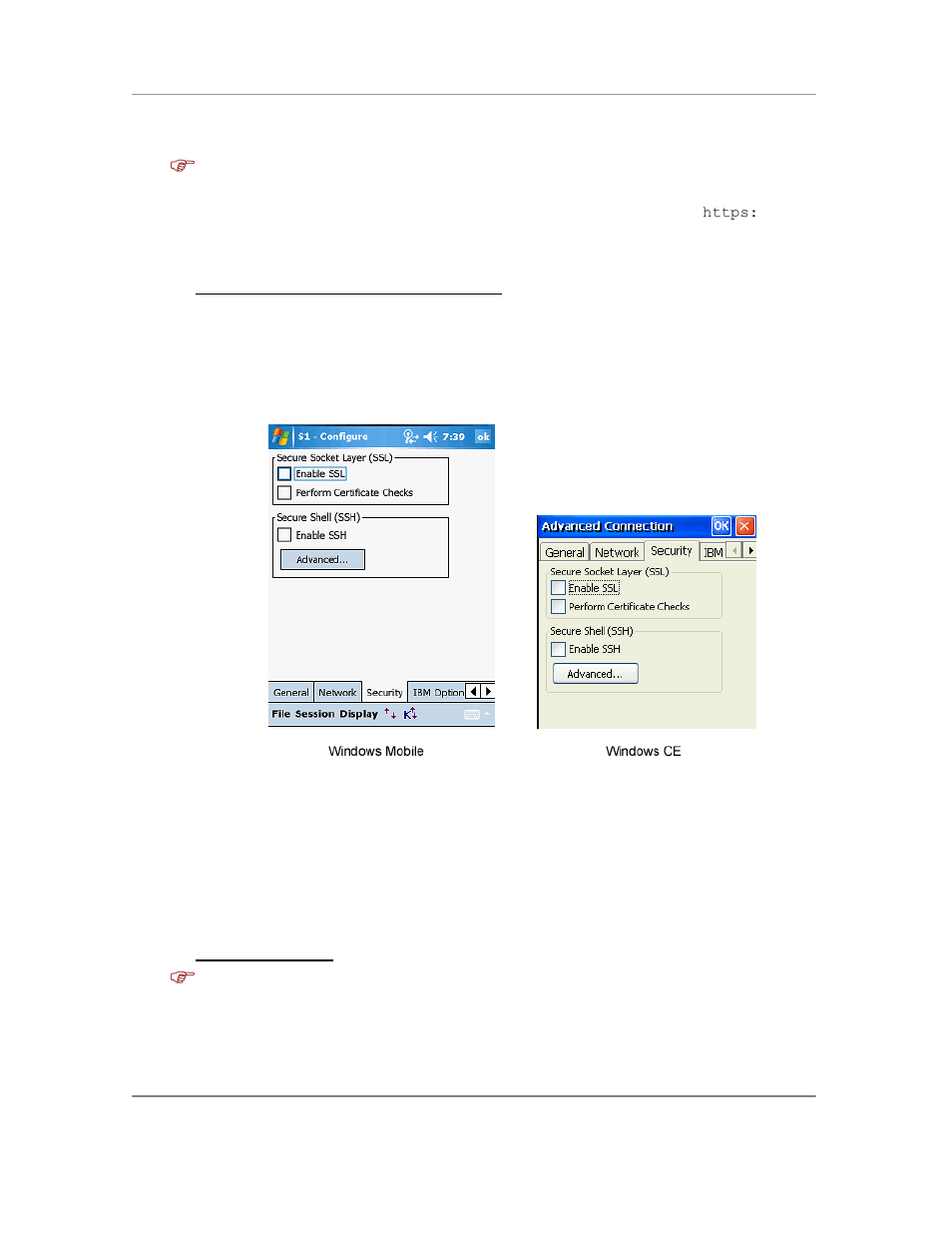 Security | Casio Naurtech CETerm Ver.5.5 User Manual User Manual | Page 40 / 160