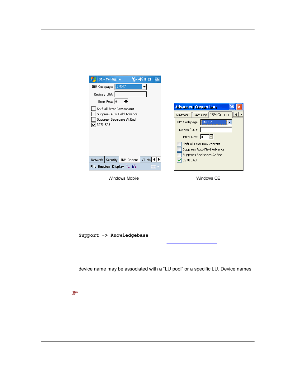 Ibm options | Casio Naurtech CETerm Ver.5.5 User Manual User Manual | Page 55 / 160