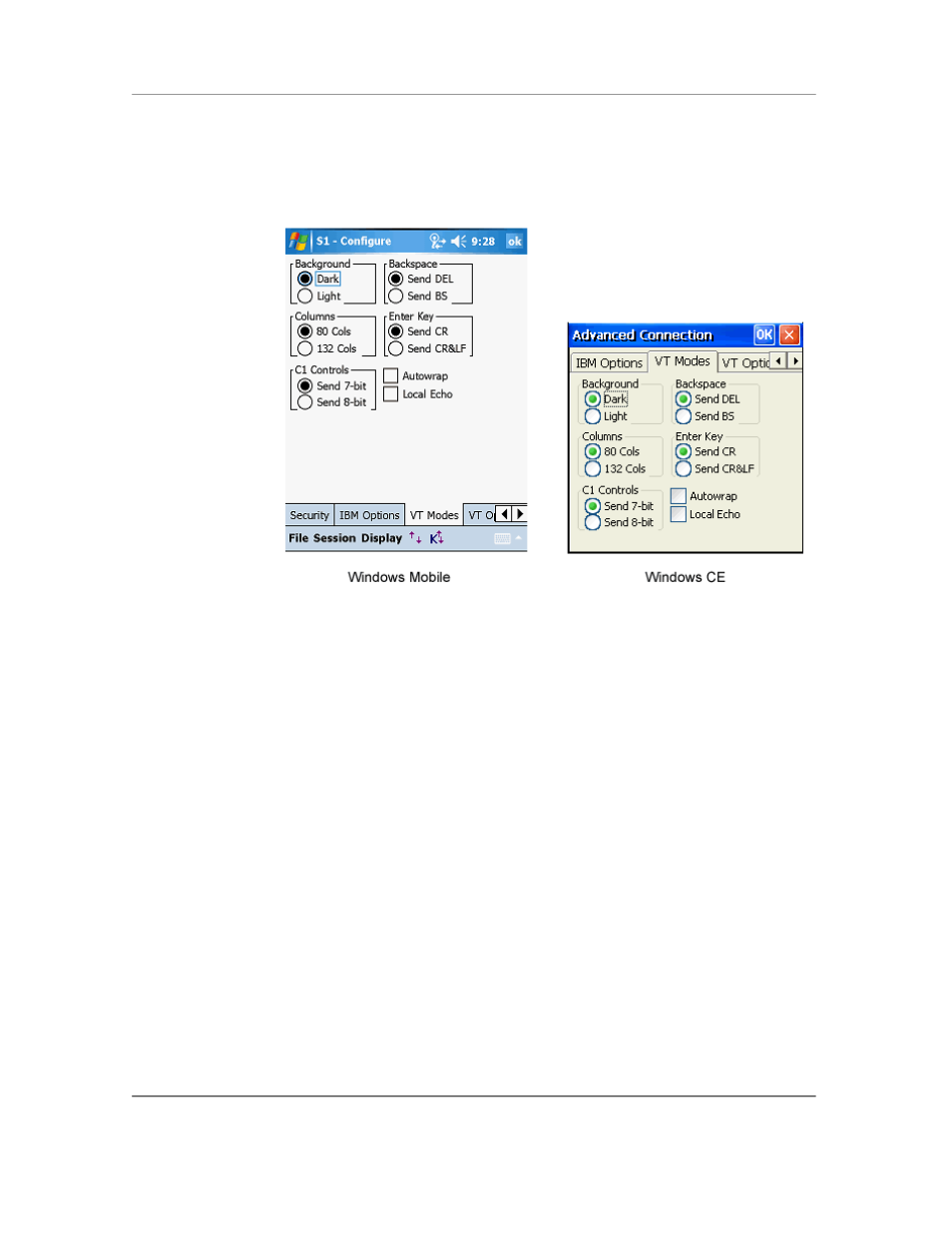 Vt modes | Casio Naurtech CETerm Ver.5.5 User Manual User Manual | Page 57 / 160