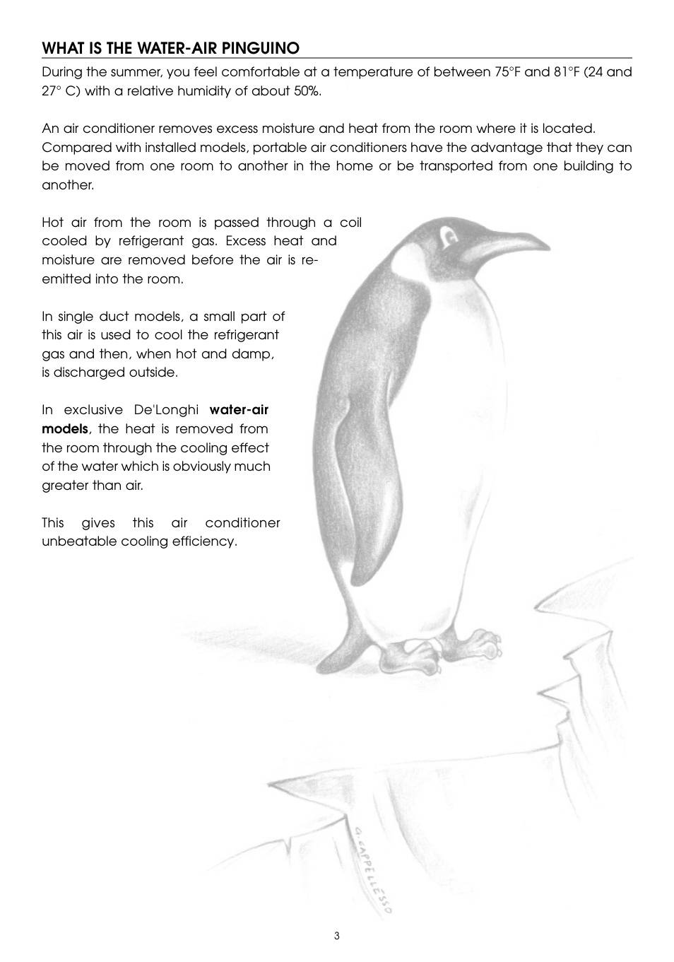 What is the water-air pinguino | DeLonghi PAC W130E User Manual | Page 3 / 20