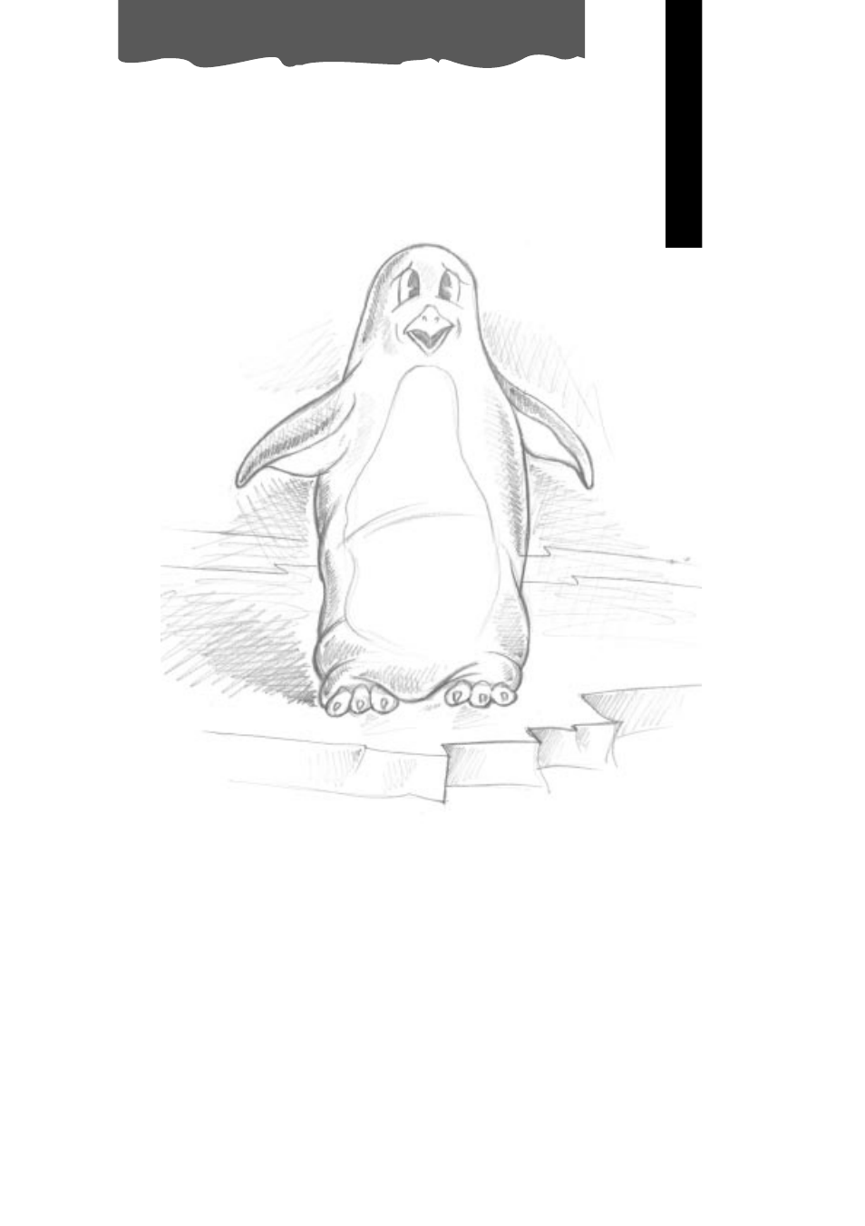 How does your pinguino work, English | DeLonghi PINGUINO PAC 600T User Manual | Page 3 / 16