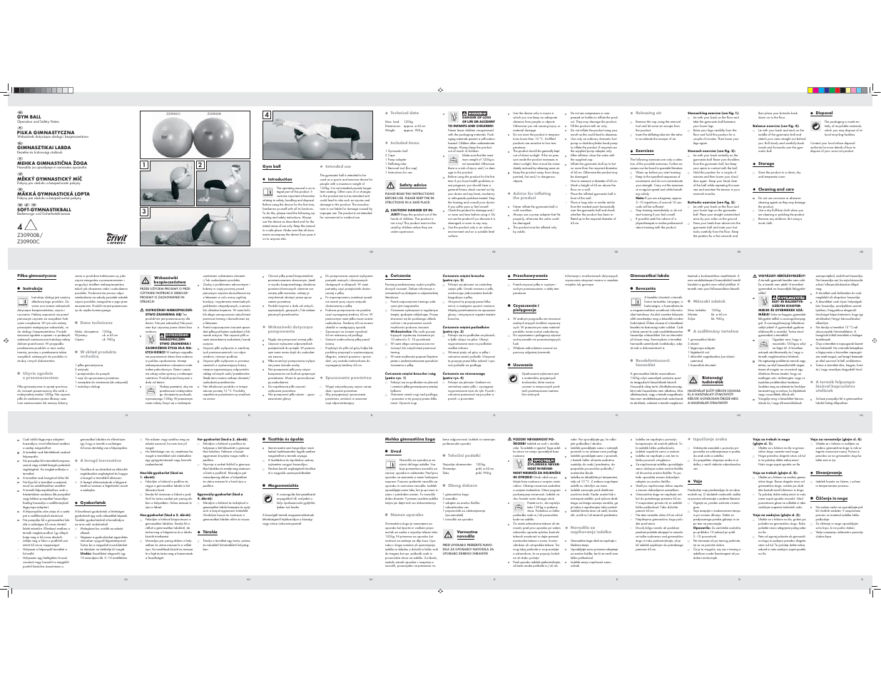 Crivit Z30900B_C User Manual | 2 pages