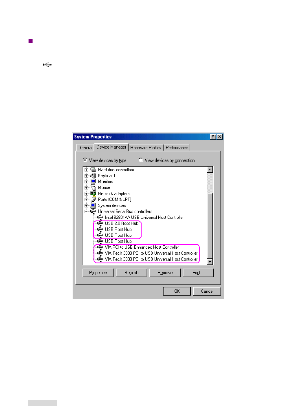 Via tech 3038 pci to usb universal host controller, Via pci to usb enhanced host controller, Usb2.0 root hub device | Usb root hub | Dynex DX-UC104 User Manual | Page 6 / 11