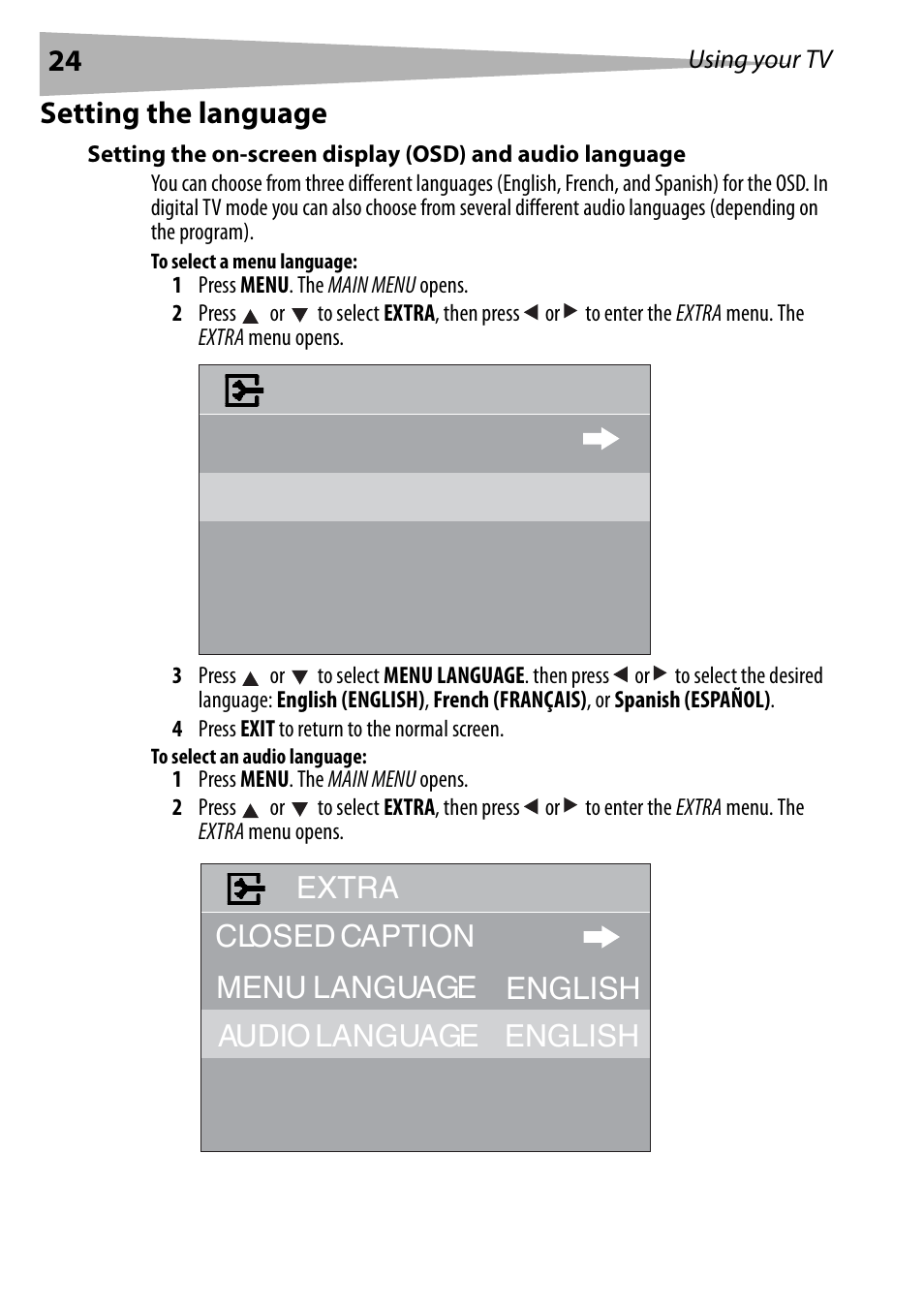 Setting the language, To select a menu language, To select an audio language | Dynex DX-R24TV User Manual | Page 24 / 142