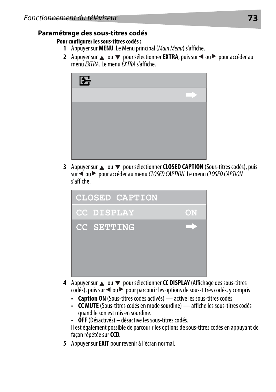 Paramétrage des sous-titres codés, Pour configurer les sous-titres codés | Dynex DX-R24TV User Manual | Page 73 / 142