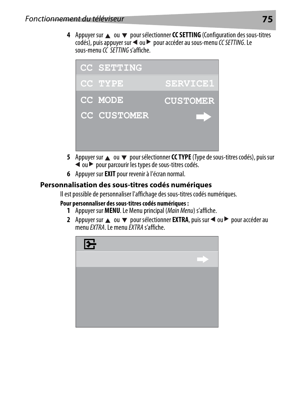 Personnalisation des sous-titres codés numériques | Dynex DX-R24TV User Manual | Page 75 / 142