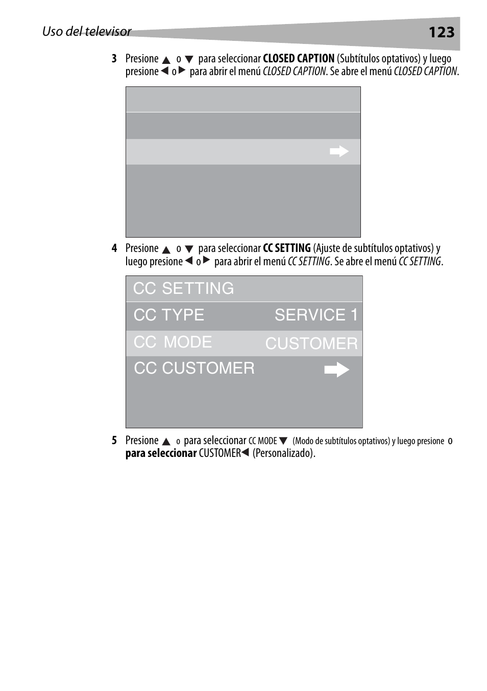 Cc type cc mode cc customer customer | Dynex DX-R20TV User Manual | Page 123 / 142