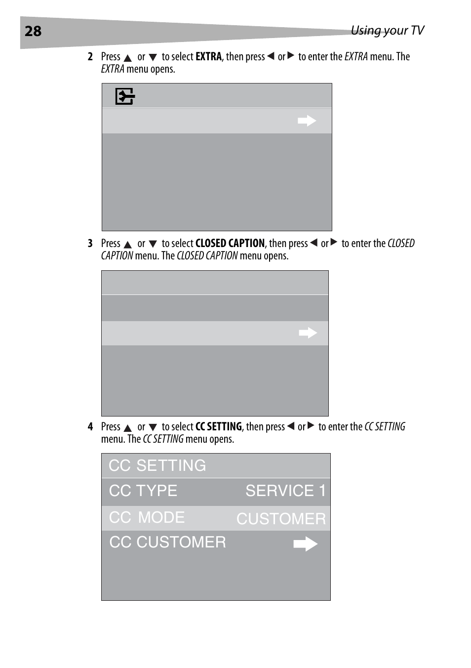 Cc type cc mode cc customer customer | Dynex DX-R20TV User Manual | Page 28 / 142