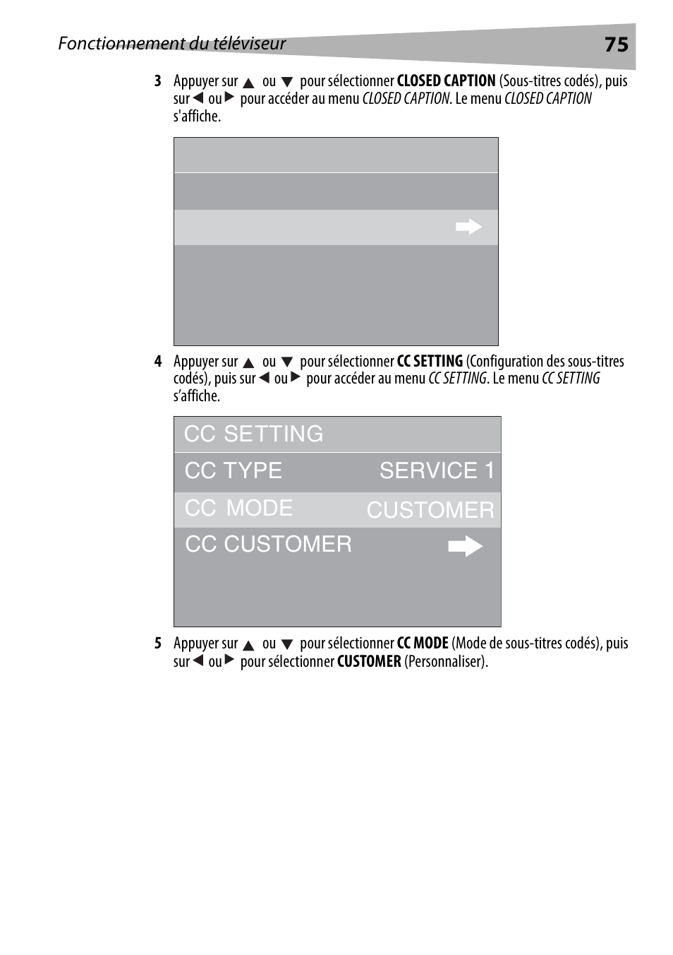 Cc type cc mode cc customer customer | Dynex DX-R20TV User Manual | Page 75 / 142