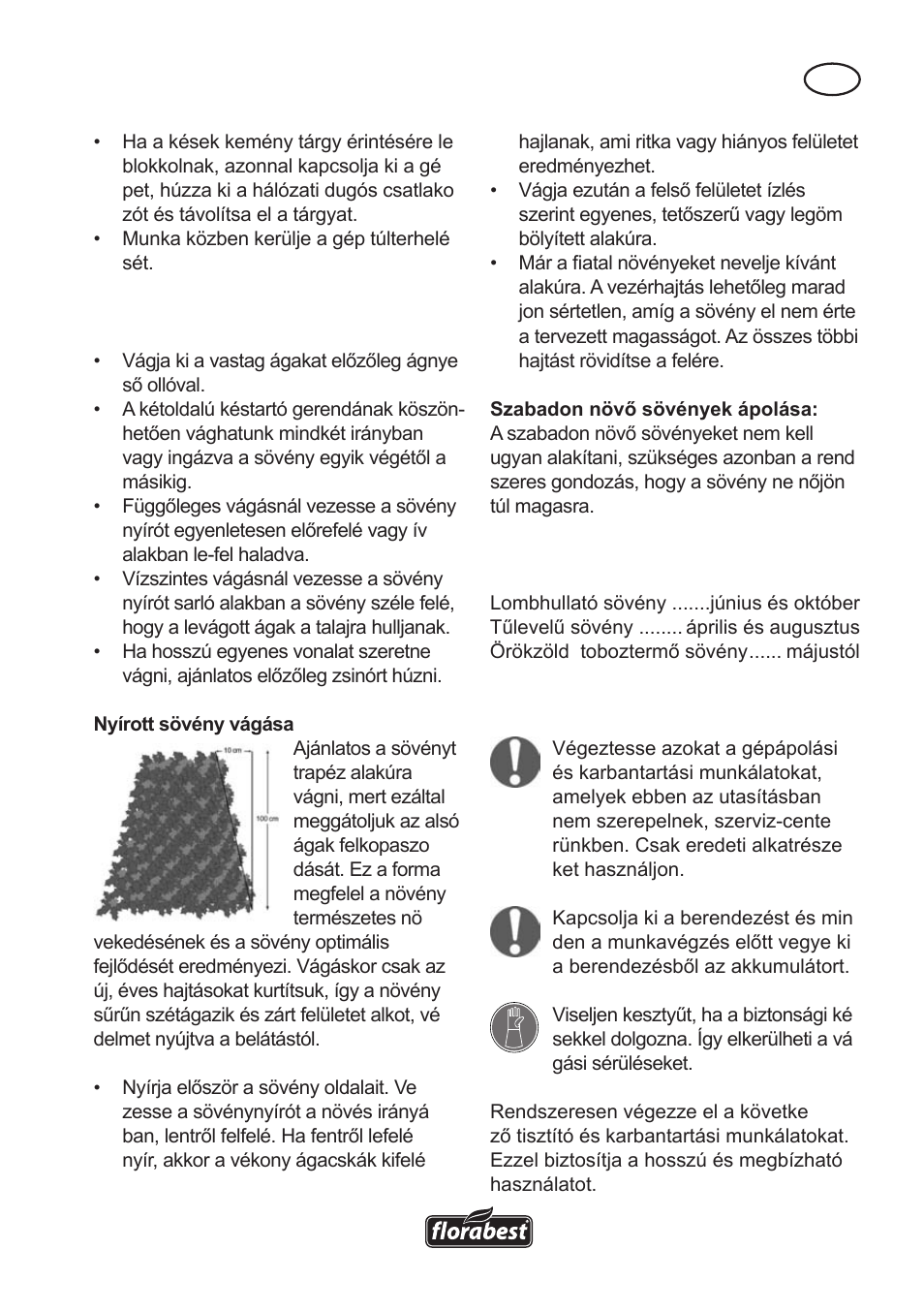 Tisztítás és karbantartás | Florabest FAH 18 A User Manual | Page 41 / 118