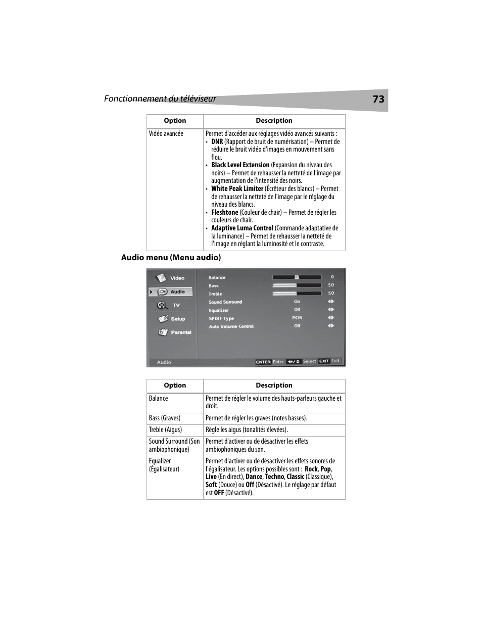 Dynex DX-LCD19 User Manual | Page 73 / 124