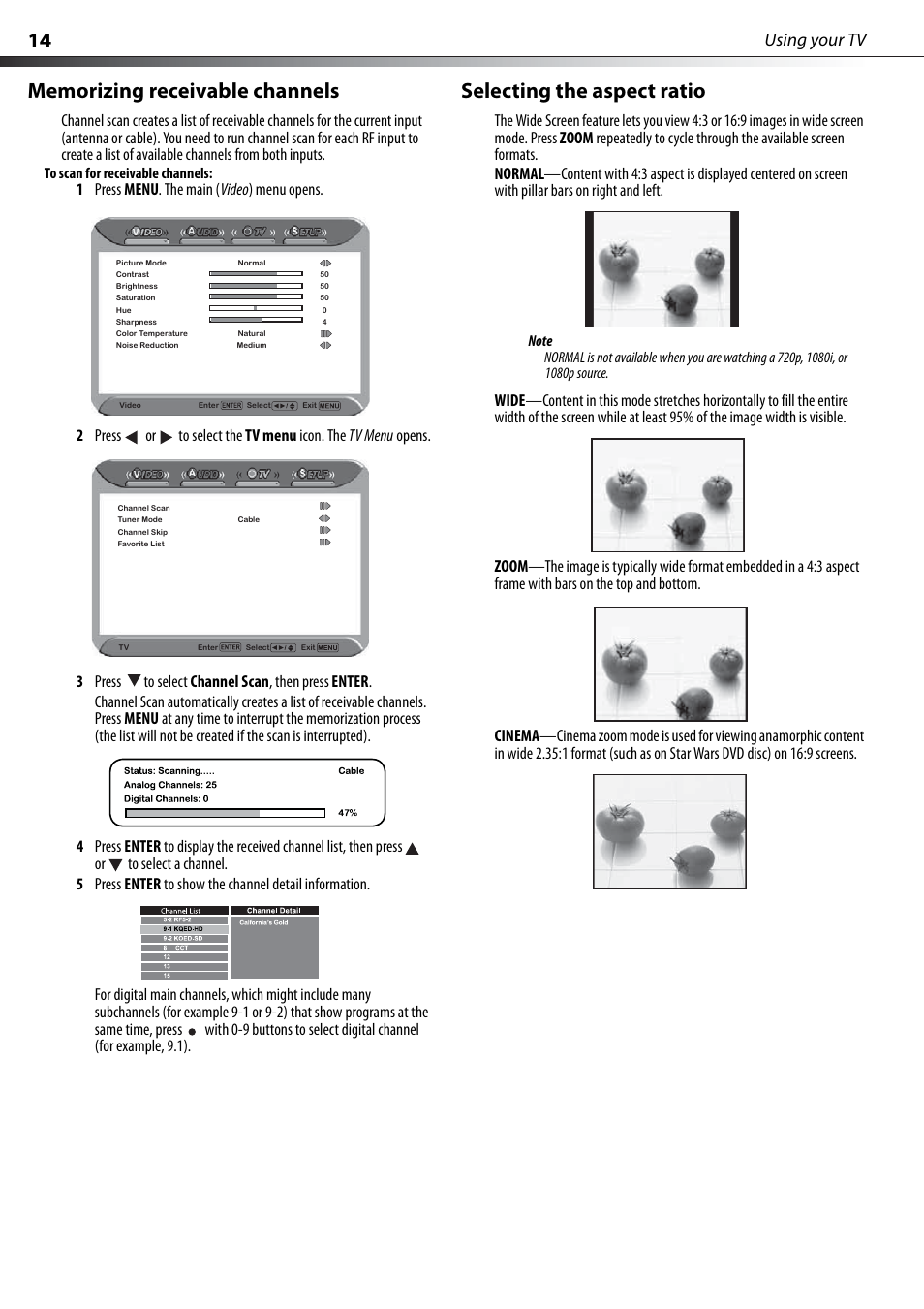 Memorizing receivable channels, Selecting the aspect ratio, Using your tv | Dynex DX-PDP42-09 User Manual | Page 14 / 28