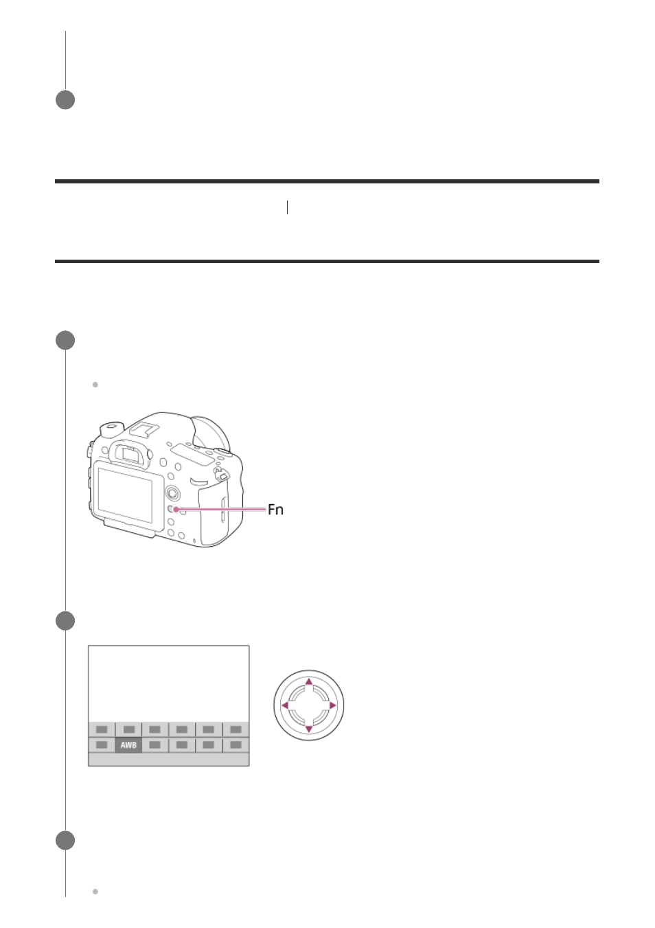 Using the fn (function) button [9, Using the fn (function) button | Sony ILCA-99M2 User Manual | Page 29 / 413