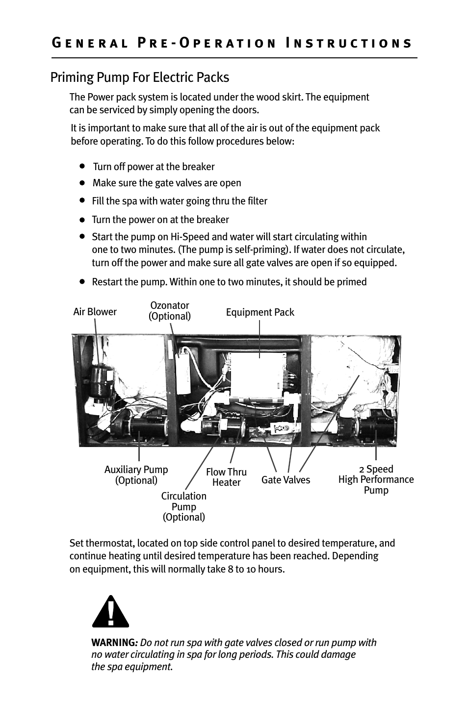 Priming pump for electric packs | Dynasty Spas Deluxe System D-1000 User Manual | Page 11 / 33