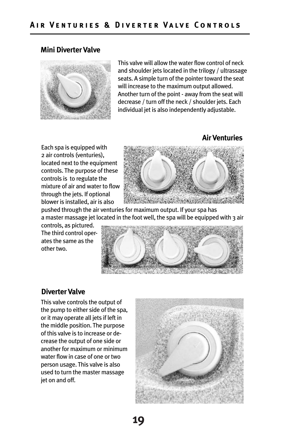 Dynasty Spas D-3000 User Manual | Page 19 / 33