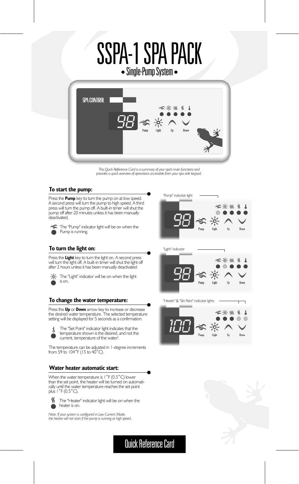 Dynasty Spas SSPA-1 User Manual | 2 pages