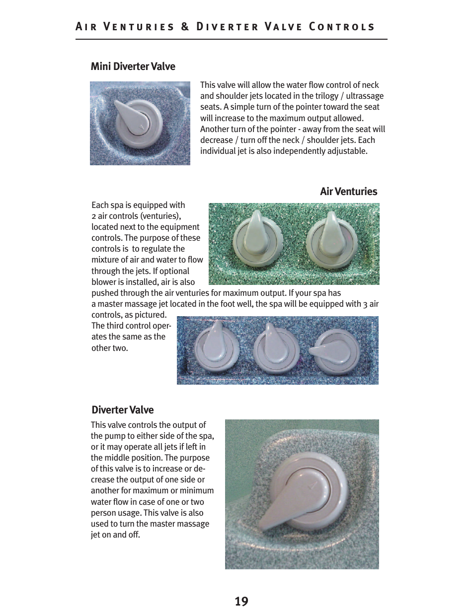 Dynasty Spas D-2000 User Manual | Page 19 / 33