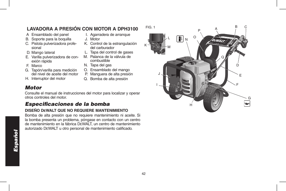 Español, Motor, Especificaciones de la bomba | Lavadora a presión con motor a dph3100 | DeWalt DPD3100 User Manual | Page 42 / 68